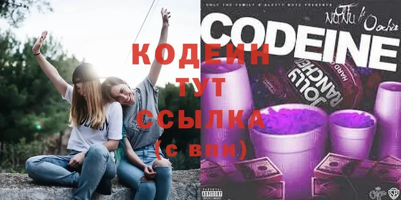 Кодеиновый сироп Lean Purple Drank  Андреаполь 